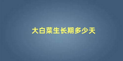 大白菜生长期是多少天(大白菜一般生长多长时间)